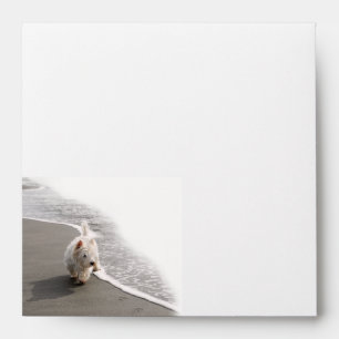 Beachcombing Westie Photo 5x5 Envelope