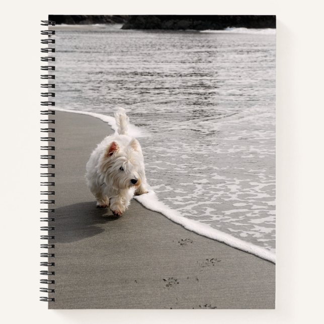 Beachcombing Westie Photo 8"x11" Spiral Notebook (Front)
