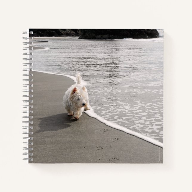 Beachcombing Westie Photo 8x8 Square Journal (Front)