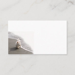 Beachcombing Westie Photo Business Cards