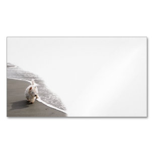 Beachcombing Westie Photo Business Cards