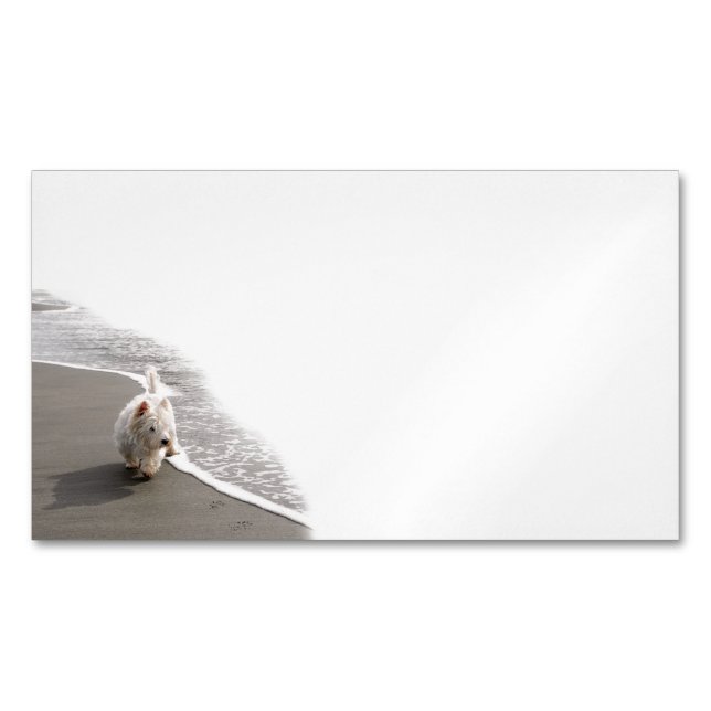 Beachcombing Westie Photo Business Cards (Front)