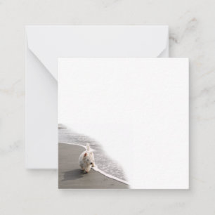 Beachcombing Westie Photo Flat Note Card