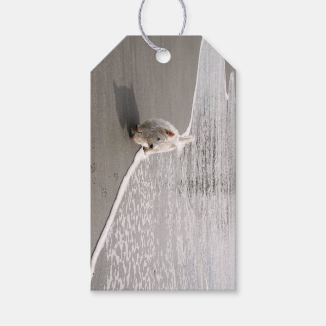 Beachcombing Westie Photo Gift Tag (Front)