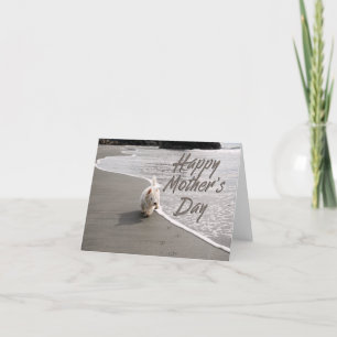 Beachcombing Westie Photo Mother's Day Card
