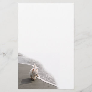 Beachcombing Westie Photo Stationery