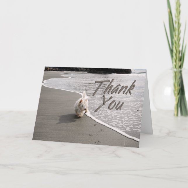 Beachcombing Westie Photo Thank You Card (Front)