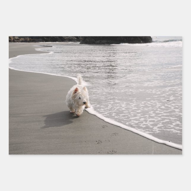 Beachcombing Westie Photo Wrapping Paper (Front)