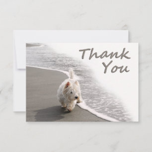 Beachcombing Westie Thank You Card 5"x7"