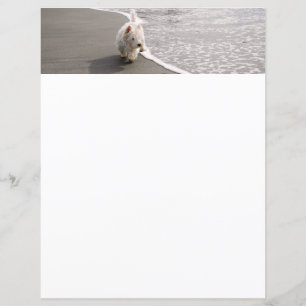 Beachcombing White Westie Dog Photo Stationery