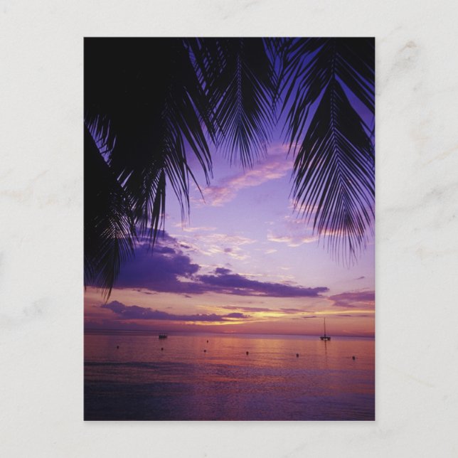 Beaches at Negril, Jamaica 2 Postcard (Front)