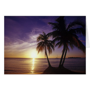 Beaches at Negril, Jamaica 3