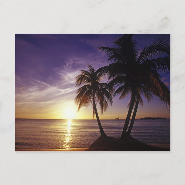 Beaches at Negril, Jamaica 3 Postcard (Front)