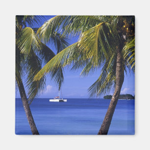 Beaches at Negril, Jamaica Magnet