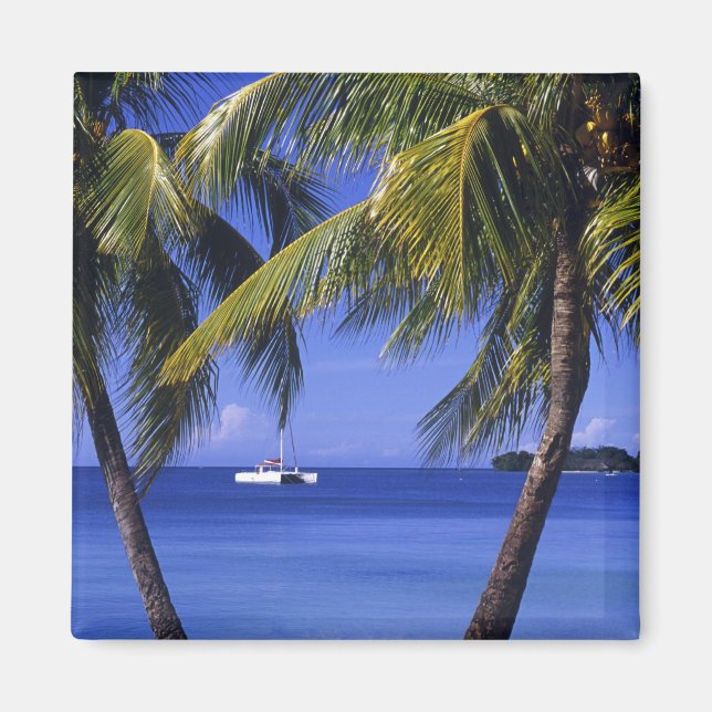 Beaches at Negril, Jamaica Magnet (Front)