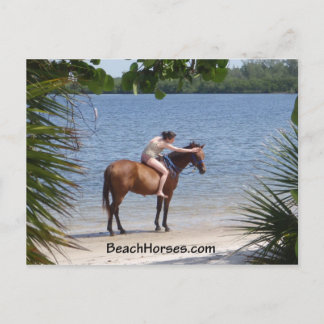 BeachHorses.com Postcard