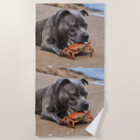 "Beachside Pals: A Staffy and Its Crab Companion"