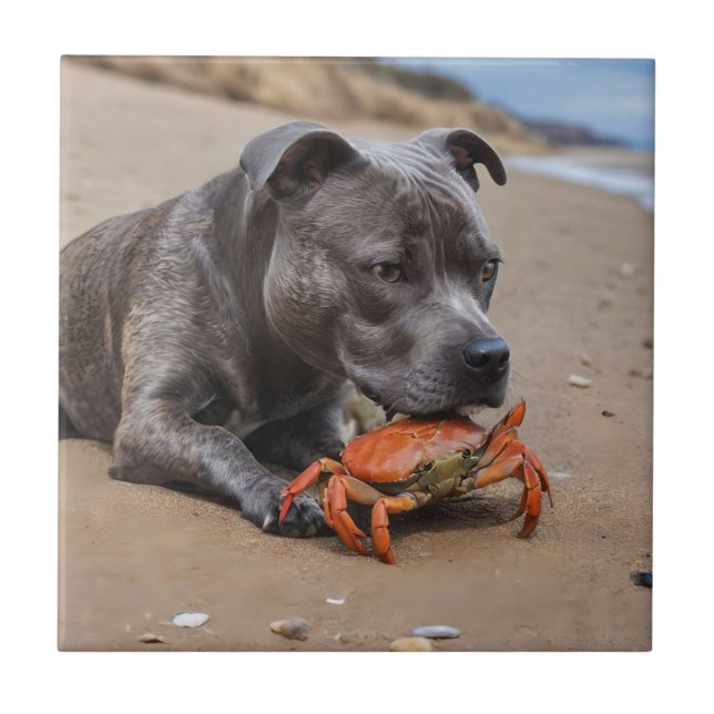 "Beachside Pals: A Staffy and Its Crab Companion" Tile (Front)