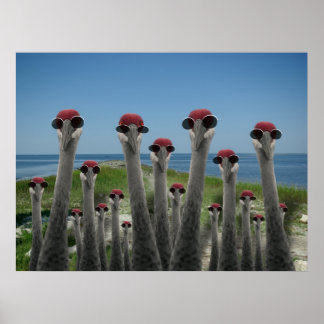 Beachy Cranes Poster