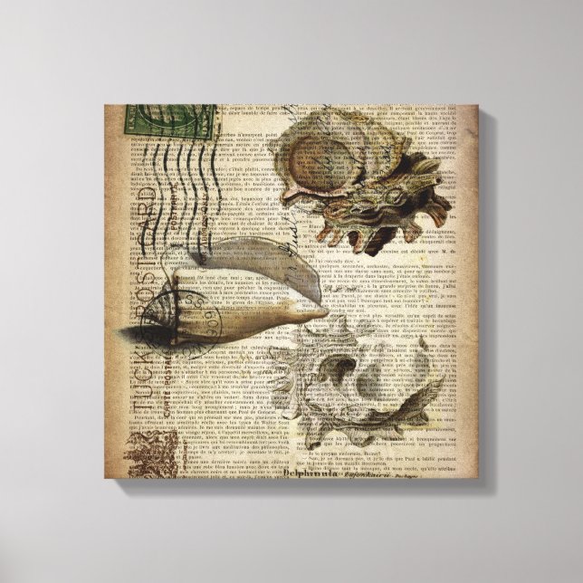 beachy dictionary print modern vintage seashell (Front)