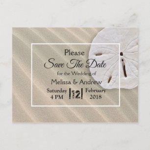 Beachy Sand Dollar Themed Wedding Save the Date Announcement Postcard