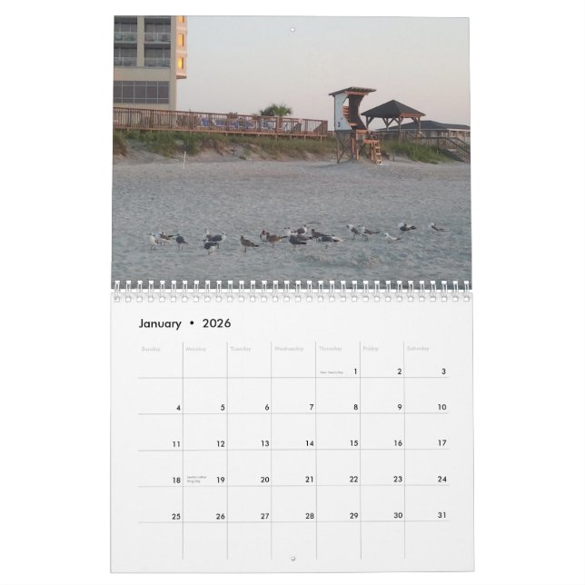 Beachy Scenes Calendar (Jan 2026)