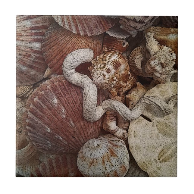 Beachy Seashells Sand Dollar Tile (Front)
