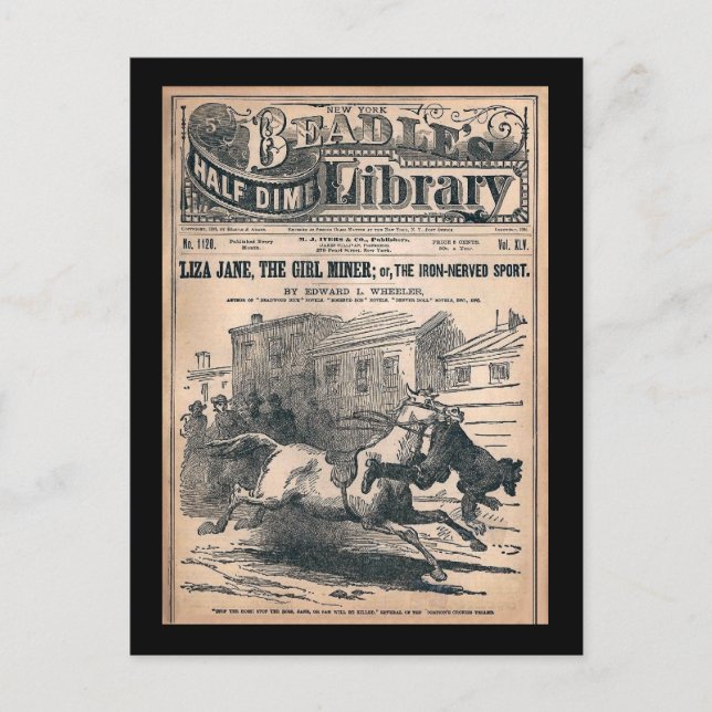 Beadles Half Dime Library No. 1120 1901 Postcard (Front)