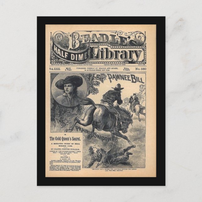 Beadles Half Dime Library Vol XXII No 560 1888 Postcard (Front)