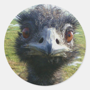 Beady Eyes EMU Classic Round Sticker