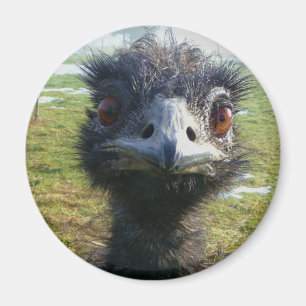 Beady Eyes EMU Magnet