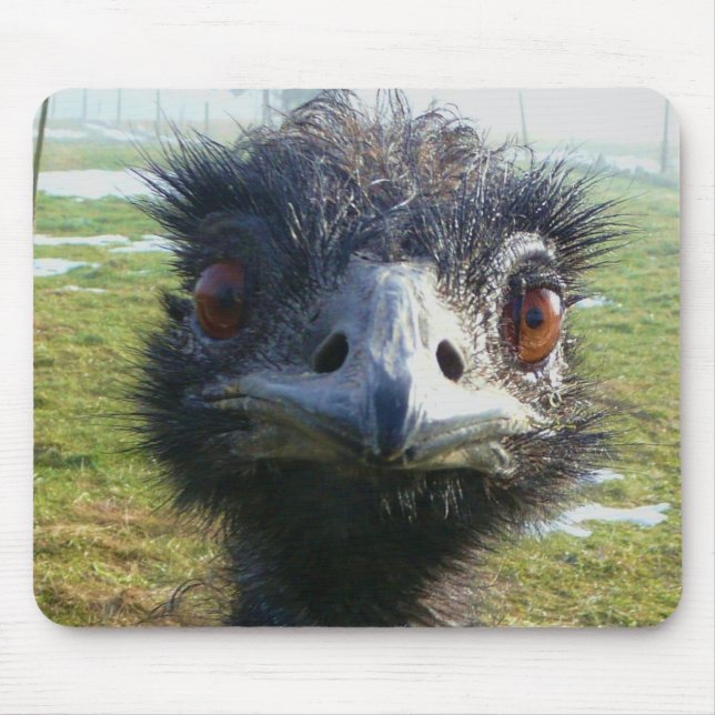 Beady Eyes EMU Mouse Mat (Front)