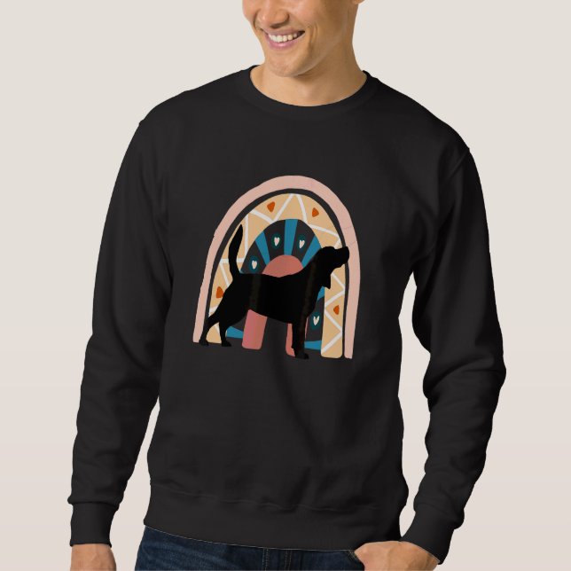 Beagel Dog With Patterned Rainbow Sweatshirt (Front)