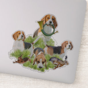 Beagle