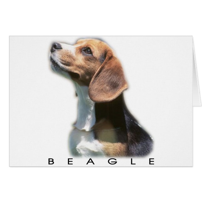 Beagle (Front Horizontal)
