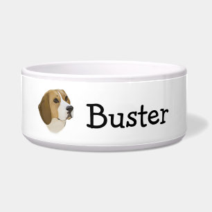 Beagle