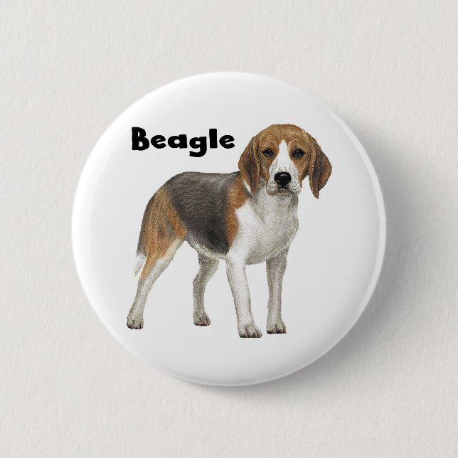 Beagle 6 Cm Round Badge (Front)
