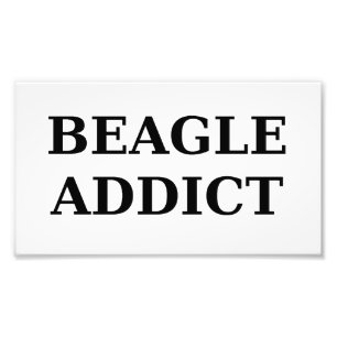 beagle addict photo print