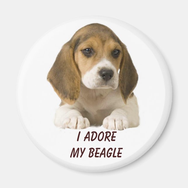 Beagle Adore Magnet (Front)
