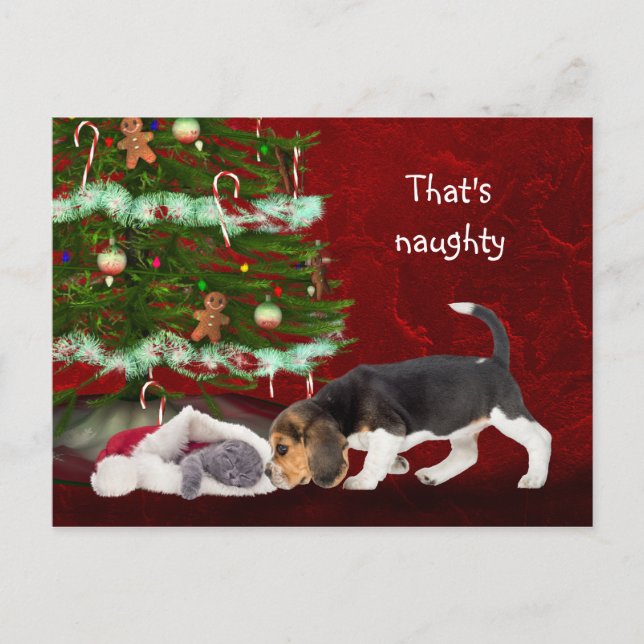 Beagle and naughty kitty Christmas Holiday Postcard (Front)