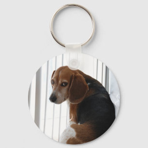 beagle attitude key ring