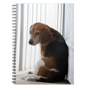 beagle attitude notebook
