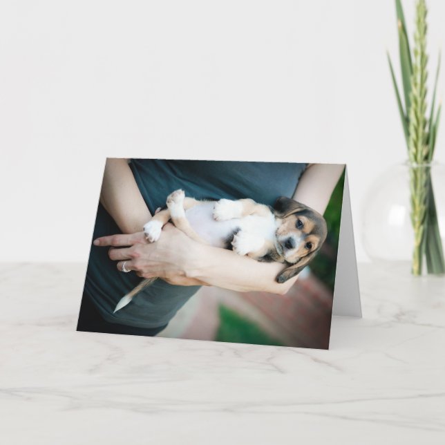 Beagle Babe In Arms Card (Front)