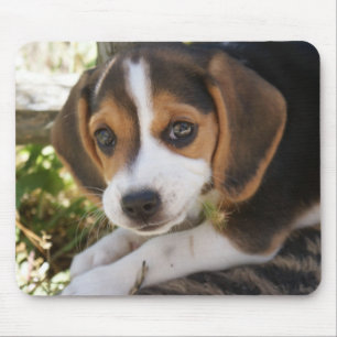 Beagle Baby Dog Mouse Mat