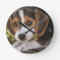 Beagle Baby Dog