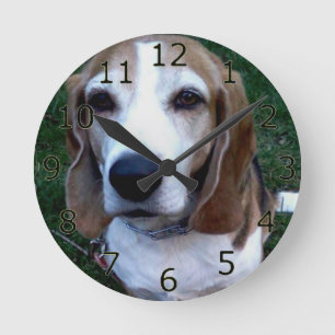 Beagle Basset Dog Round Clock