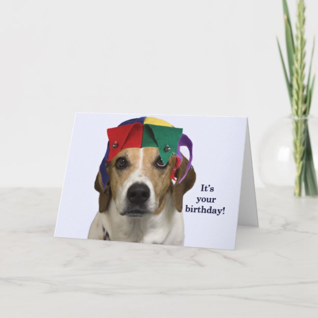 Beagle Birthday Card by Focus for a Cause (Front)