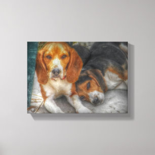Beagle Brothers Canvas Print