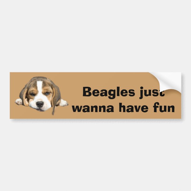 Beagle Bumper Sticker (Front)