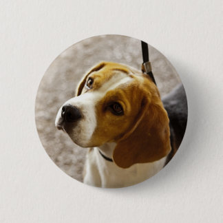Beagle Button